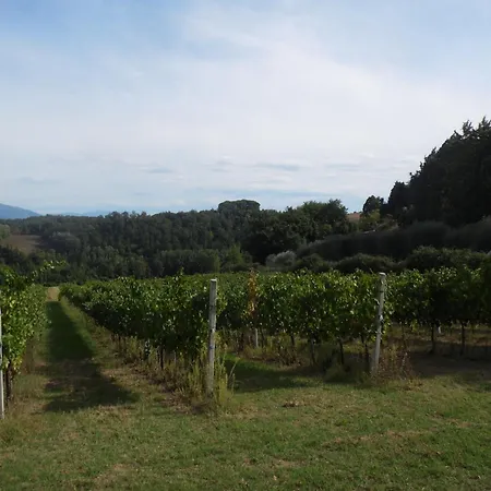 Podere Caldaruccio La Pineta - 26 People * 라마짜노