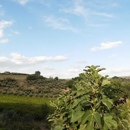 Podere Caldaruccio La Pineta - 26 People 라마짜노