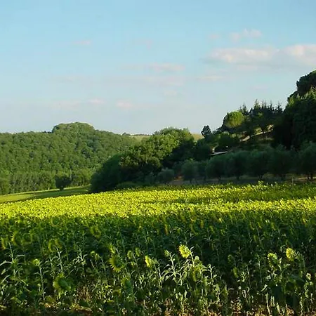 빌라 Podere Caldaruccio La Pineta - 26 People *